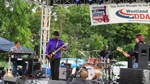Chris Canas Band at Westland Blues Fest