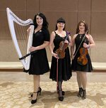 Acoustic Strolling Trio